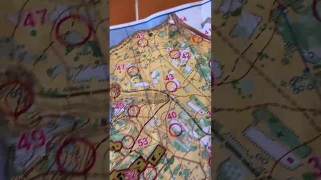 10.10.2023 Ночной выбор делаем на Борисовских прудах. Не рисуем! смотреть онлайн