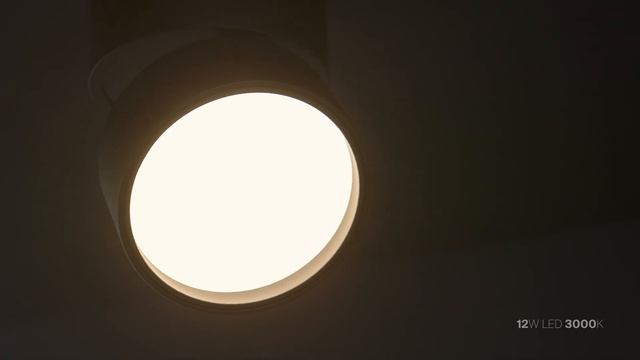 Потолочный светильник Technical C024CL L12B3K смотреть онлайн