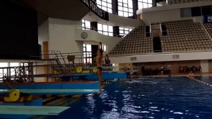 Прыжки в воду Спад назад 1