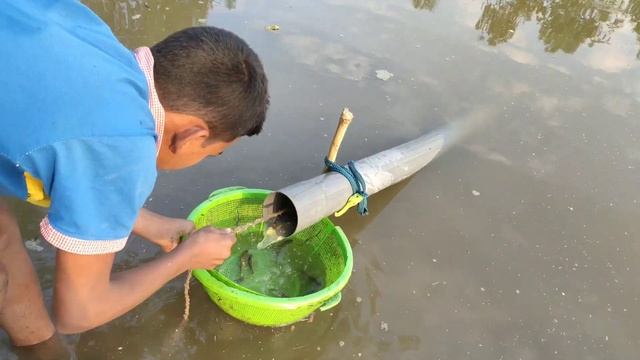 Unbelievable Fishing-Unique Fish Trapping System-Pvc Pipe Fishing смотреть онлайн
