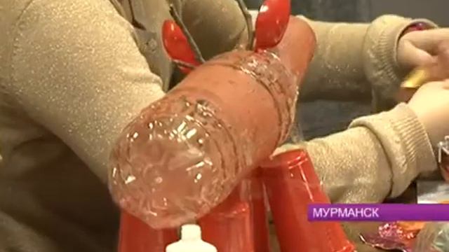 Состоялась презентация выставки «Потепление климата и природа Лапландии – что можем сделать мы ?» смотреть онлайн