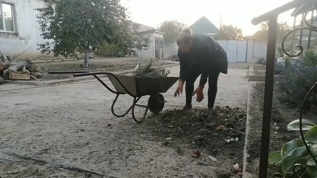 Мое Бюджетное меню на день/Подарю щенков/С Праздником#влог #україна #село смотреть онлайн