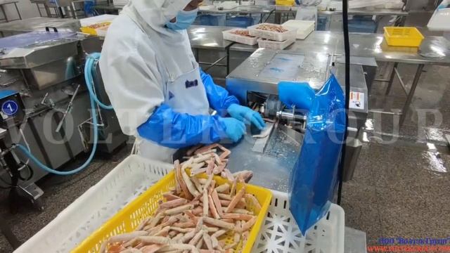 Установка разделки краба VOLTEK CLC2C смотреть онлайн