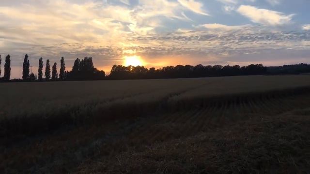 Harvest 2018 Day 17 смотреть онлайн
