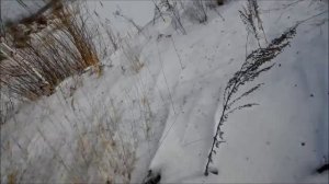 Поход на АУДИ 100, с цепями на колесах!