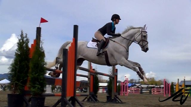 Horses and Riders come together in Slow Motion Horse Jumping - YouTube смотреть онлайн