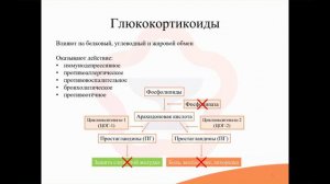 34.1. Стероидные гормоны. Препараты гормонов коры надпочечников_ минералокортикоиды, глюкокортикоиды
