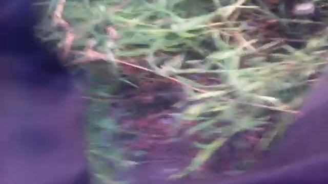Ишимбайский рыбак. смотреть онлайн