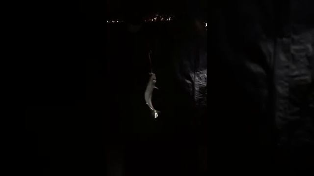 Рыбалка с берега скумбрия смотреть онлайн