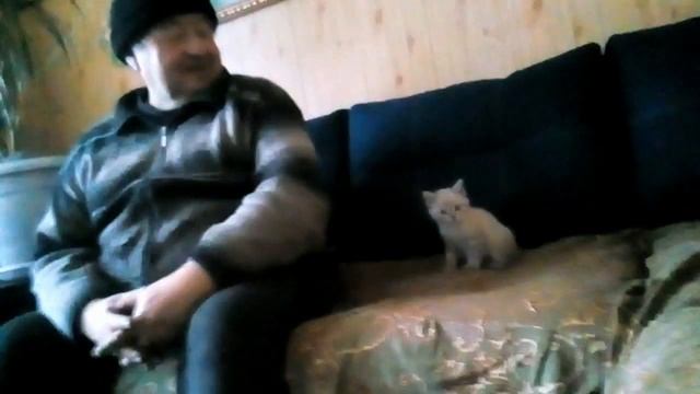 Про котёнка Дымка .Сегодня мы дали имя котёнку смотреть онлайн