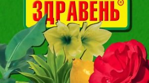Здравень для комнатных цветов
