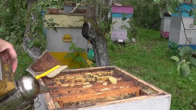 На пасеке . 435х450 . смотреть онлайн