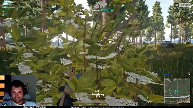 Человек куст