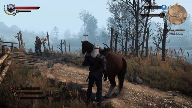 Scarless! - Let's Play The Witcher 3 Wild Hunt 07 смотреть онлайн