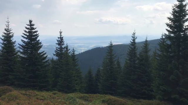 Воскресное путешествие в горы. Skalny Stół смотреть онлайн