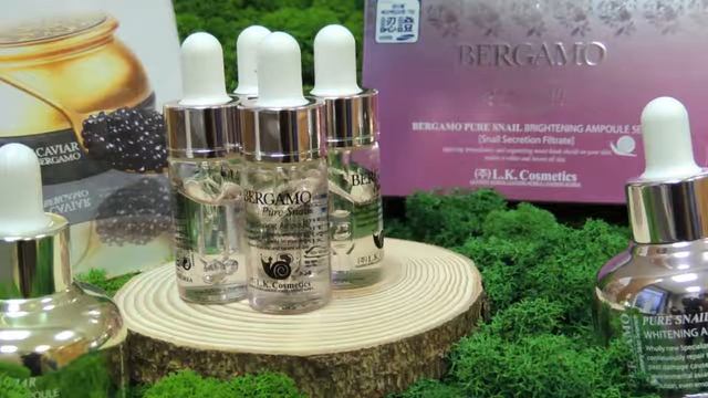 Флеш тренинг бренд BERGAMO смотреть онлайн