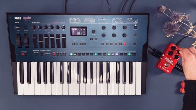 TC Hall of Fame 2 Sound Demo (no talking) with Korg opsix смотреть онлайн