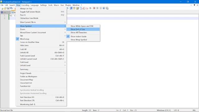 Display Newline Character In Notepad++|  Replace CRLF With LF/CR In A Text  File Using Notepad++