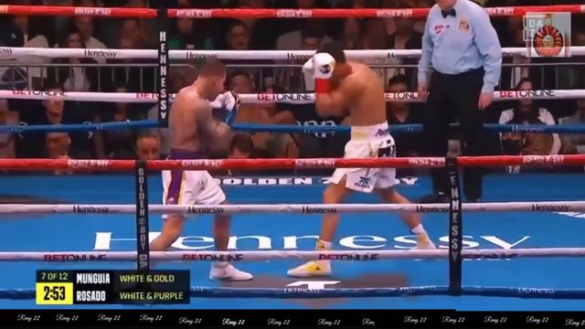 Jaime Munguia Vs Gabriel Rosado Fight