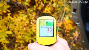 Показываю, как оцинкован Renault Logan. Толщина ЛКП