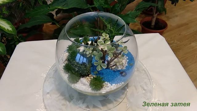 Флорариум "Очарование". Мини-сад из суккулентов. смотреть онлайн