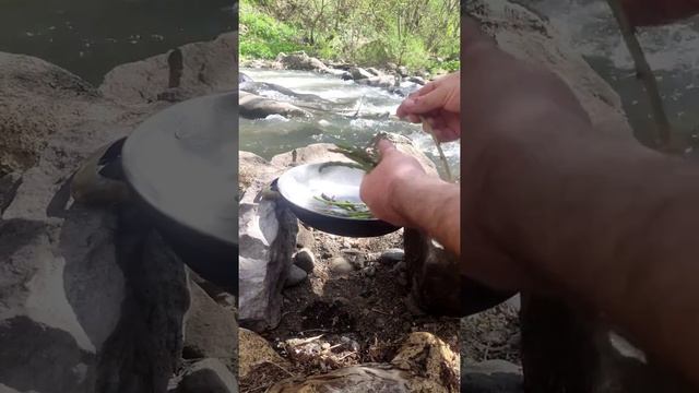 Asparagus / Спаржа, готовим на месте / Ցնեփուկ - Ձնեբեկ смотреть онлайн