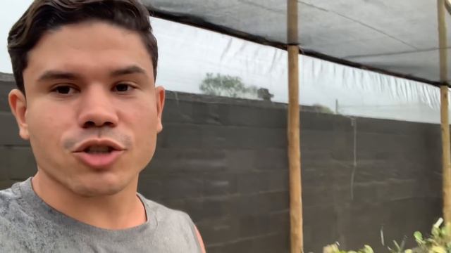 O motivo de NÃO CHOVER no meu ORQUIDÁRIO no SÍTIO смотреть онлайн