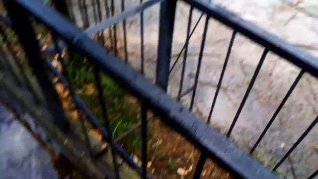 02-08-2022 - Крым 2022. Белогорск. Парк Львов Тайган смотреть онлайн