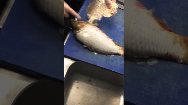 КАК ПОЧИСТИТЬ КАРП смотреть онлайн