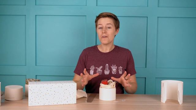 Unboxing a succulent garden from Lula's Garden смотреть онлайн