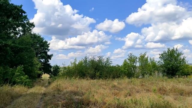 Любовь - это не чувство. Это выбор. смотреть онлайн