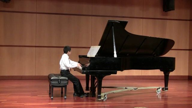 Ballade Pour Adeline and Rondo alla Turca_Allen Ye 2014 Spring Piano Recital смотреть онлайн