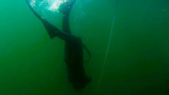 Фридайвинг в Костомукше 15 июля 2021 смотреть онлайн