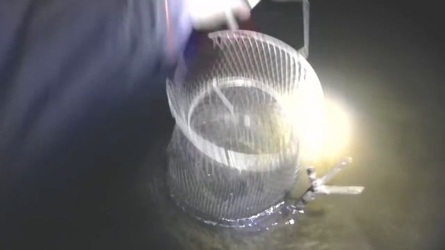 Рыбалка р Чепца с ночёвкой. смотреть онлайн