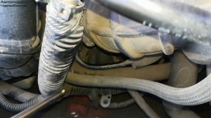 Где находится номер двигателя на Форд Фокус - 3 - 1.6 мотор