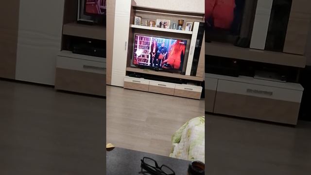 Кошка ворует чипсы😁😁😁