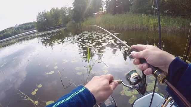 Ловля КРАСНОПЁРКИ на УЛЬТРАЛАЙТ. Поиски 1КГ краснопёрки. По следам БЕШЕНОГО КЛЁВА краснопёрки. смотреть онлайн