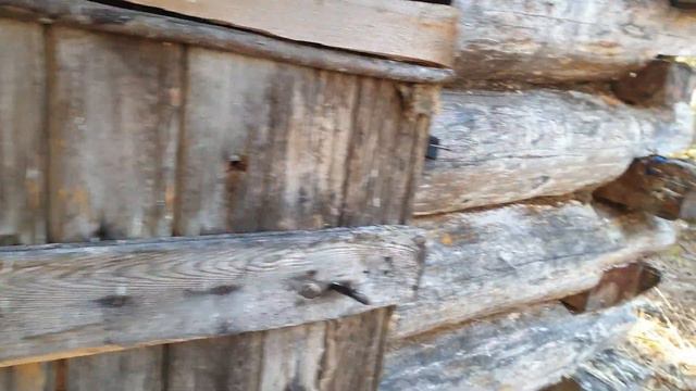 Закрываю сезон рыбалки на поплавок !!! А так не хочется !!! смотреть онлайн