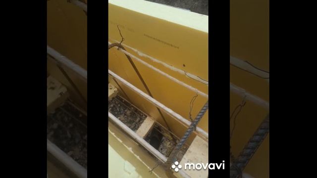 11 августа 2021 г. смотреть онлайн