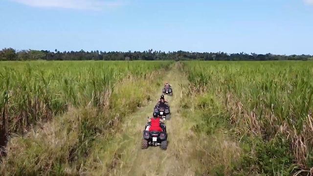 African Tour - ЭКСКУРСИИ ЗАНЗИБАРА на Севере острова - Нунгве и Кендва смотреть онлайн