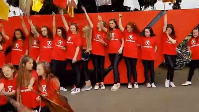 F1 Grand Prix Silverstone performance with Pro-Excel смотреть онлайн