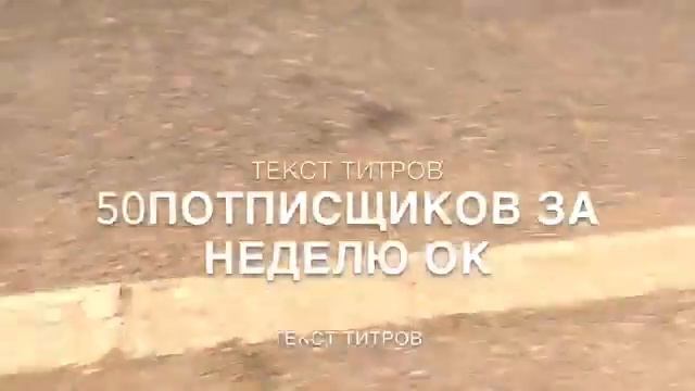 Они не подрались 😭😭😭😭😭 смотреть онлайн