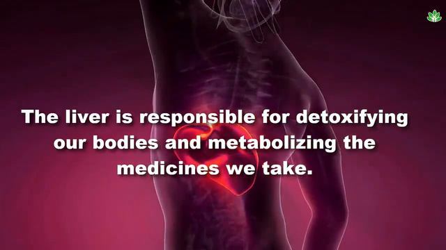 Start Eating 2 Cloves Per Day, See What Will Happen To You смотреть онлайн