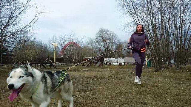 Каникросс в Парке ХАСКИ ЛЭНД с X-fit (ул. крыласткая 18) смотреть онлайн