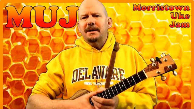 American Honey - Lady Antebellum (ukulele tutorial by MUJ) смотреть онлайн