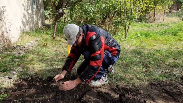 5 Какие у меня синие сапфиры (3).mp4 смотреть онлайн