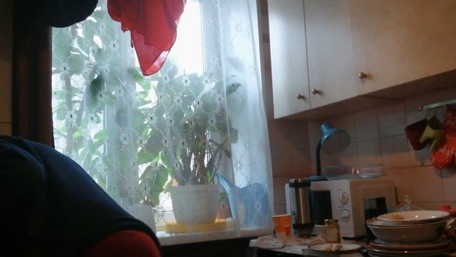 Борлак дома и разбила чашку смотреть онлайн