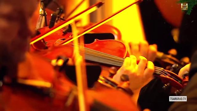 Video_7634042556883.mp4