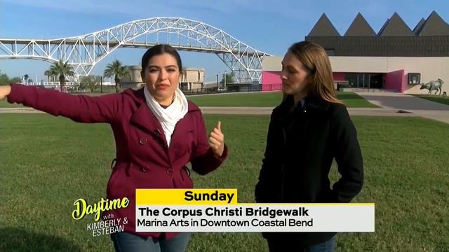 DWKE: LIVE TV Interview for The 2019 Bridgewalk at the Harbor Bridge | TV Host Danielle Banda смотреть онлайн