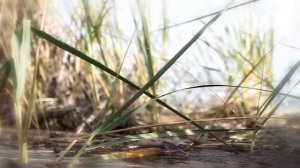 ВКО , Бухтарминское водохранилище «САМАРКА»